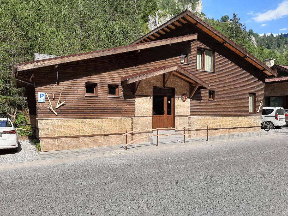 Horlog Castle Hotel Trigrad Exterior photo
